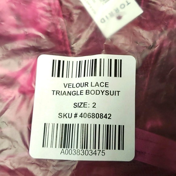 ❤️NWT VINTAGE TORRID  LINGERIE BODYSUIT VELOUR LACE TRIANGLE CUTOUT THONG - PLUS - Picture 6 of 11